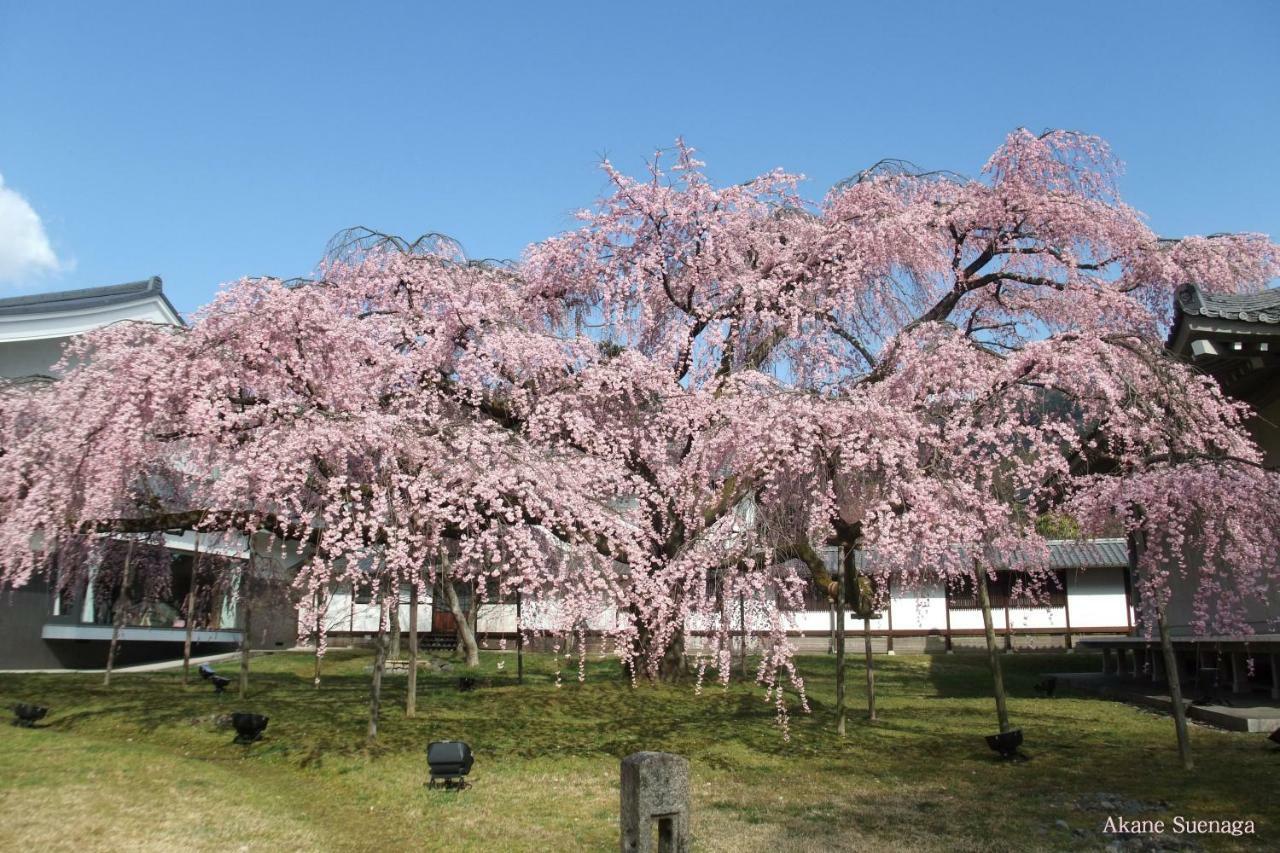 Kyoto Home Tofukuji Εξωτερικό φωτογραφία